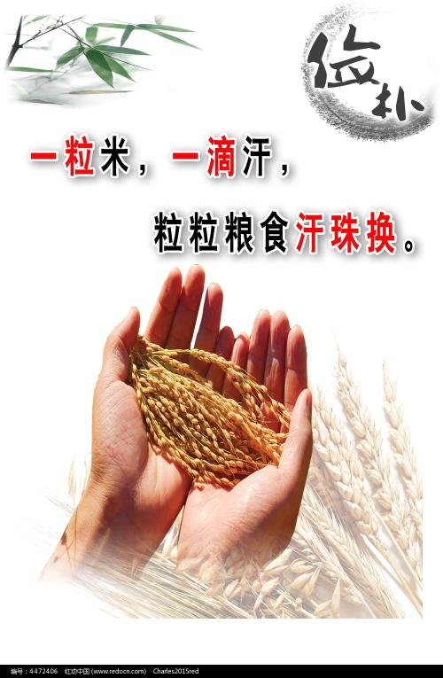 汉堡造型艺术学院Accounting Diploma